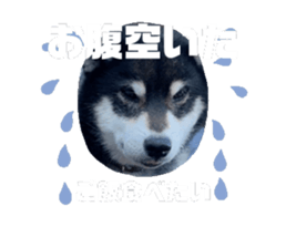 692718936