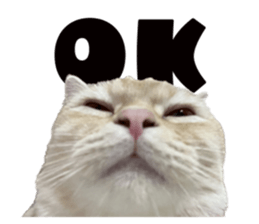 692725739
