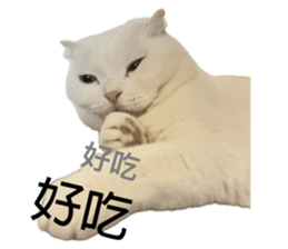 692727869