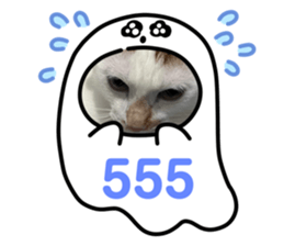 692733641