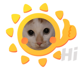 692733645
