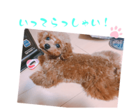 692748917