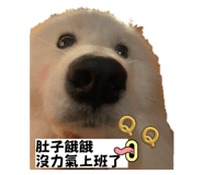 692761742