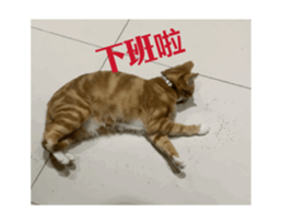 692779868