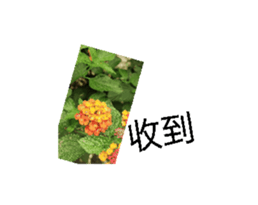 692787668