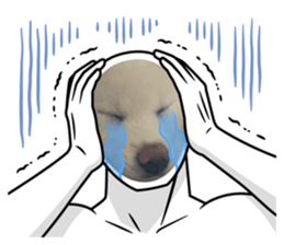 692811916