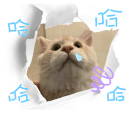 692817172