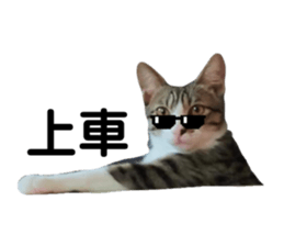692817462