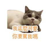 692817786