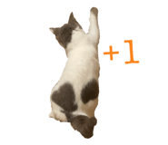 692817795