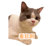 692817796