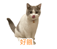 692817797