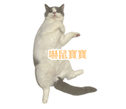 692817799