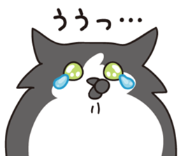 69286460