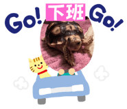 692874548