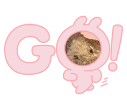692884755