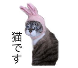 692888465