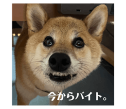 692892030