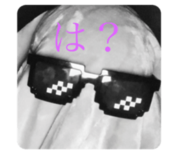 692898136