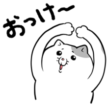 692916684