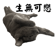692920316