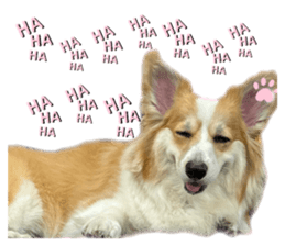 692923710
