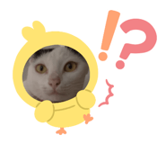 692933636