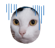 692933639