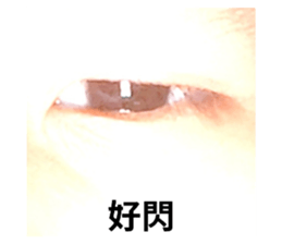 692954725