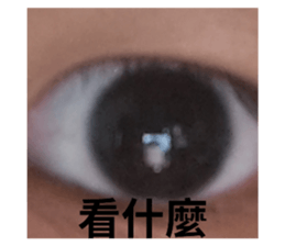 692954728