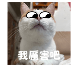 692955506