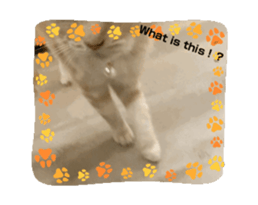 692969891