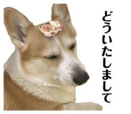 693000040