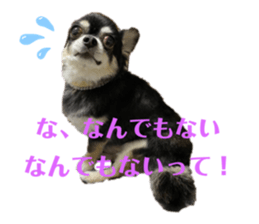 693001779