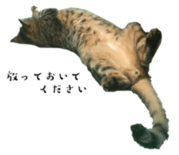 693029863