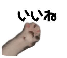 693031360