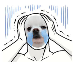 693065063