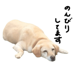 693079717
