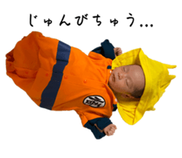 693081252