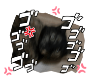 693103335