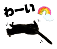 693103344