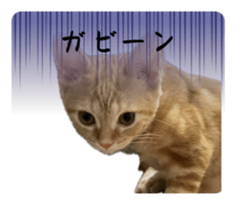 693200915