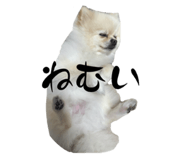 693212331