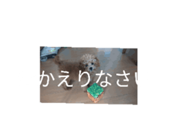 693225344