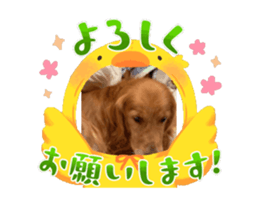 693225351