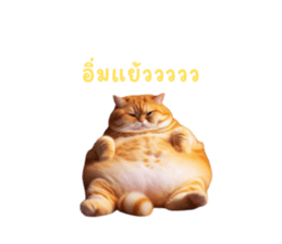 693248017