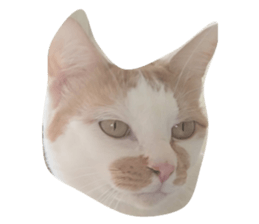 693249840