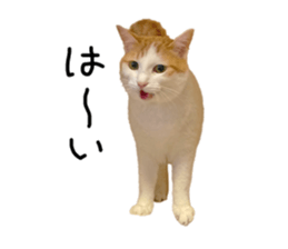 693253011
