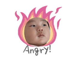 693290814