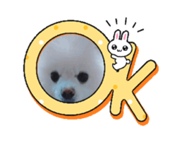 693292515